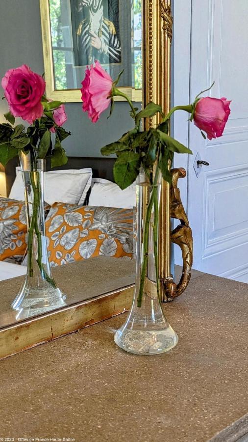Saulx-de-Vesoul La Closerie Des Anges Bed & Breakfast エクステリア 写真