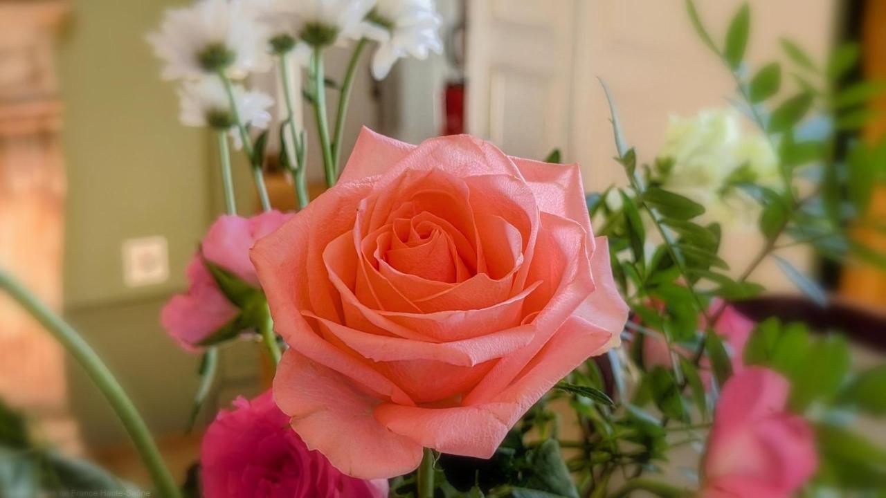 Saulx-de-Vesoul La Closerie Des Anges Bed & Breakfast エクステリア 写真